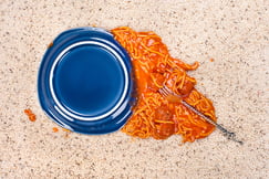 Fiber Dry Dayton Ohio Carpet Cleaning - Spaghetti whoops