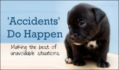 Fiber Dry Dayton Ohio Carpet Cleaning - pet accidents Fiber Dry Dayton Ohio Carpet Cleaning - pet accidents